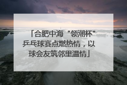 合肥中海“领潮杯”乒乓球赛点燃热情，以球会友筑邻里温情