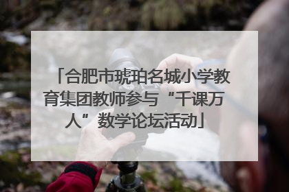 合肥市琥珀名城小学教育集团教师参与“千课万人”数学论坛活动