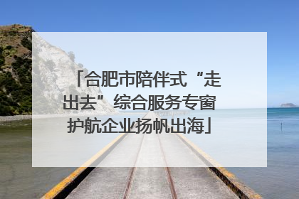 合肥市陪伴式“走出去”综合服务专窗护航企业扬帆出海