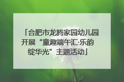 合肥市龙腾家园幼儿园开展“童趣端午汇·乐韵绽华光”主题活动