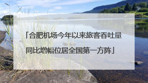 合肥机场今年以来旅客吞吐量同比增幅位居全国第一方阵