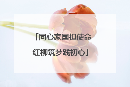 同心家国担使命 红柳筑梦践初心
