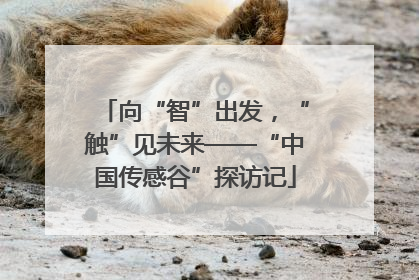 向“智”出发，“触”见未来——“中国传感谷”探访记