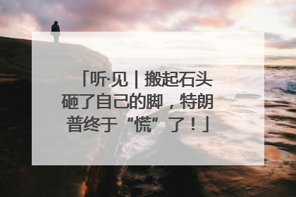 听·见｜搬起石头砸了自己的脚，特朗普终于“慌”了！