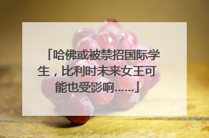 哈佛或被禁招国际学生，比利时未来女王可能也受影响……