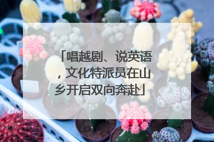 唱越剧、说英语，文化特派员在山乡开启双向奔赴