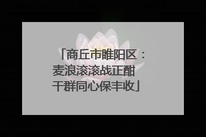 商丘市睢阳区：麦浪滚滚战正酣 干群同心保丰收