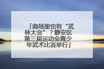 商场里也有“武林大会”？静安区第三届运动会青少年武术比赛举行