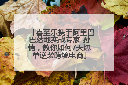 喜至乐携手阿里巴巴落地实战专家-孙倩，教你如何7天爆单逆袭跨境电商