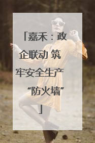 嘉禾：政企联动 筑牢安全生产“防火墙”