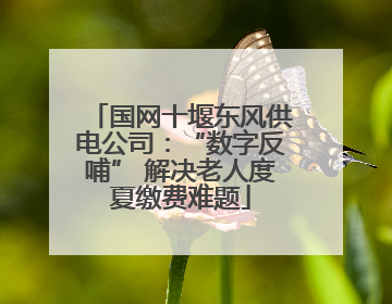 国网十堰东风供电公司：“数字反哺” 解决老人度夏缴费难题