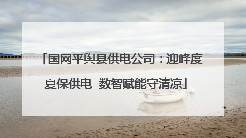 国网平舆县供电公司：迎峰度夏保供电  数智赋能守清凉