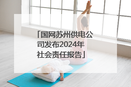 国网苏州供电公司发布2024年社会责任报告