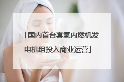 国内首台套氢内燃机发电机组投入商业运营