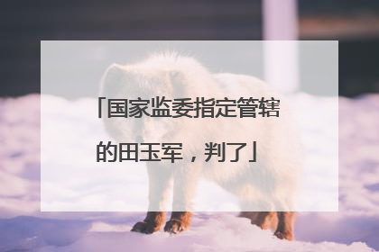 国家监委指定管辖的田玉军，判了