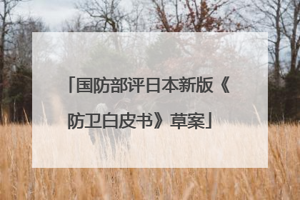 国防部评日本新版《防卫白皮书》草案