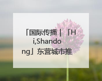 国际传播｜「Hi,Shandong」东营城市推介展亮相“从蒙马特到加里波第”文化节
