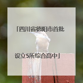 四川省德阳市首批设立5所综合高中