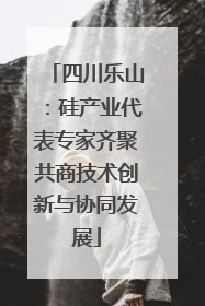 四川乐山：硅产业代表专家齐聚共商技术创新与协同发展