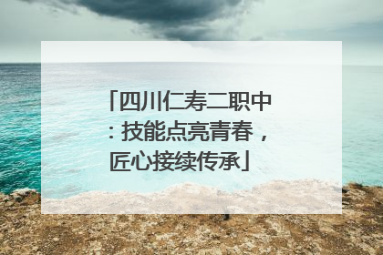 四川仁寿二职中：技能点亮青春，匠心接续传承