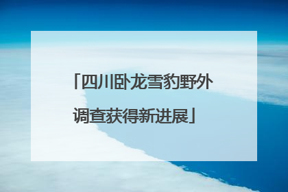 四川卧龙雪豹野外调查获得新进展