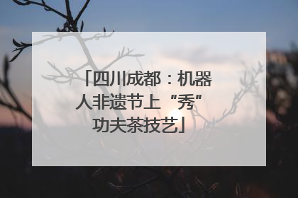 四川成都：机器人非遗节上“秀”功夫茶技艺