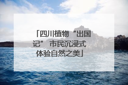 四川植物“出国记” 市民沉浸式体验自然之美
