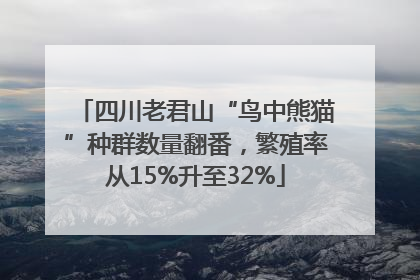 四川老君山“鸟中熊猫”种群数量翻番，繁殖率从15%升至32%