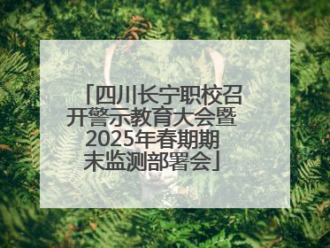 四川长宁职校召开警示教育大会暨2025年春期期末监测部署会