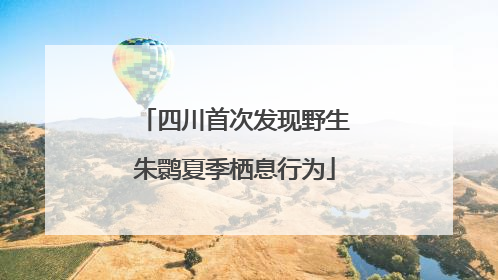 四川首次发现野生朱鹮夏季栖息行为