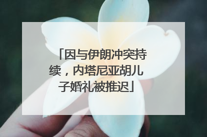 因与伊朗冲突持续，内塔尼亚胡儿子婚礼被推迟
