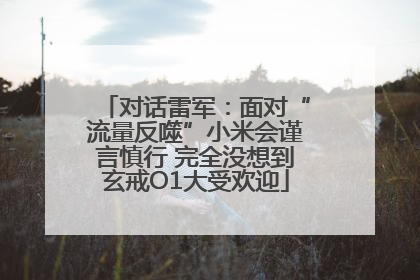对话雷军：面对“流量反噬”小米会谨言慎行 完全没想到玄戒O1大受欢迎