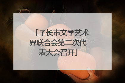 子长市文学艺术界联合会第二次代表大会召开