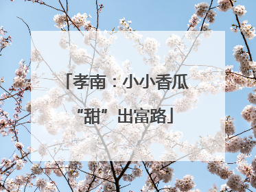 孝南：小小香瓜 “甜”出富路