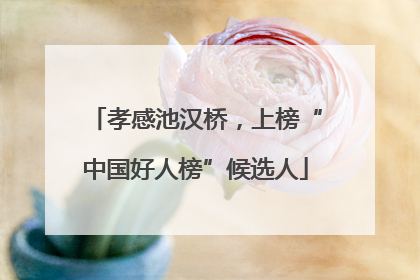 孝感池汉桥，上榜“中国好人榜”候选人
