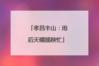 孝昌丰山：雨后天晴插秧忙