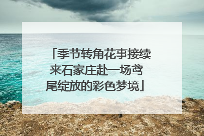 季节转角花事接续 来石家庄赴一场鸢尾绽放的彩色梦境