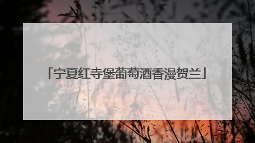 宁夏红寺堡葡萄酒香漫贺兰