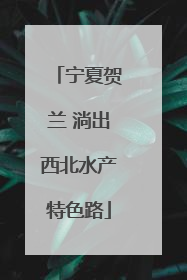 宁夏贺兰 淌出西北水产特色路