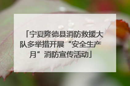 宁夏隆德县消防救援大队多举措开展“安全生产月”消防宣传活动