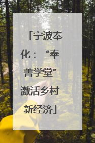 宁波奉化：“奉菁学堂”激活乡村新经济
