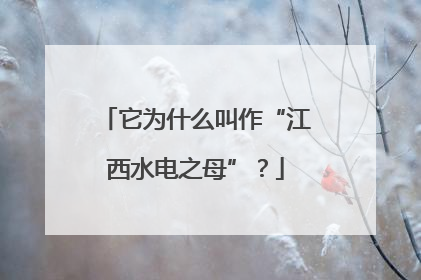 它为什么叫作“江西水电之母”？