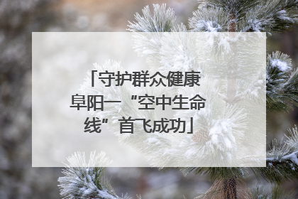守护群众健康 阜阳一“空中生命线”首飞成功