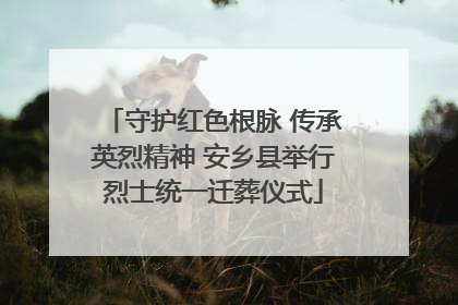 守护红色根脉 传承英烈精神 安乡县举行烈士统一迁葬仪式