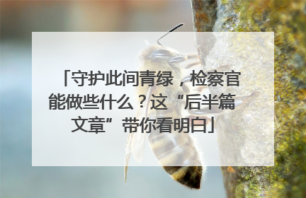 守护此间青绿，检察官能做些什么？这“后半篇文章”带你看明白