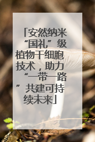 安然纳米“国礼”级植物干细胞技术，助力“一带一路”共建可持续未来