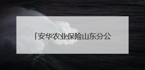 安华农业保险山东分公司科技赋能+双精准 筑牢粮食安全“稳定器”