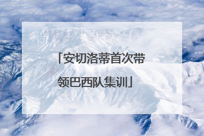 安切洛蒂首次带领巴西队集训