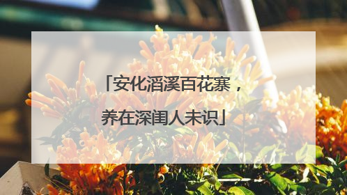 安化滔溪百花寨，养在深闺人未识