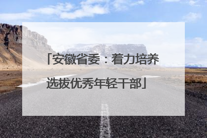 安徽省委：着力培养选拔优秀年轻干部